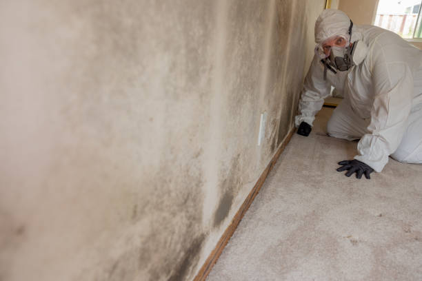 Asbestos and Lead Testing During Mold Inspection in Powhatan Point, OH